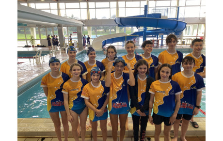 WEBCONFRONTATION BI-DEPARTEMENTALE BENJAMINS